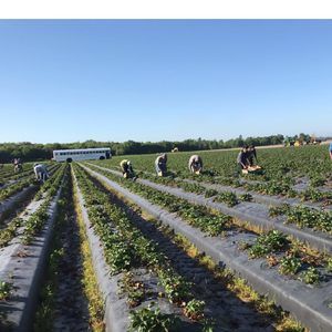 Meet your Posher, Marco